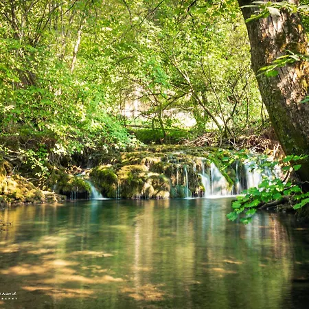 Restoran Lisine - Resavska Pecina بيت شباب *