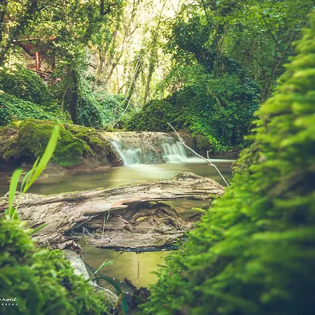 بيت شباب Restoran Lisine - Resavska Pecina Strmosten