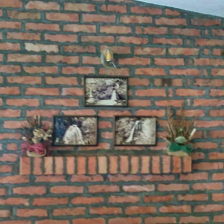 Restoran Lisine - Resavska Pecina Strmosten