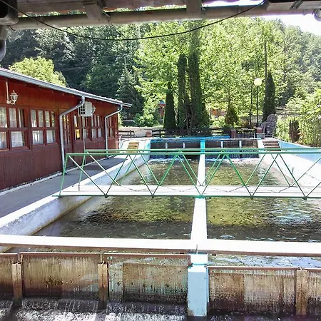 Restoran Lisine - Resavska Pecina *