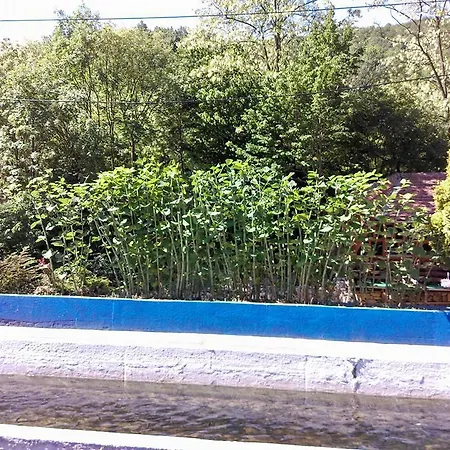 بيت شباب Restoran Lisine - Resavska Pecina