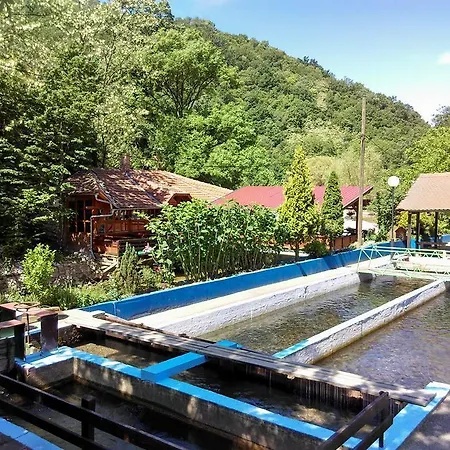 بيت شباب Restoran Lisine - Resavska Pecina