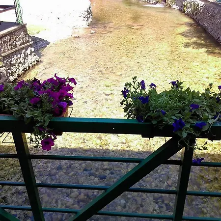 Restoran Lisine - Resavska Pecina * Strmosten