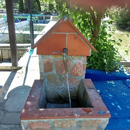 بيت شباب Restoran Lisine - Resavska Pecina