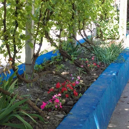 Restoran Lisine - Resavska Pecina Strmosten