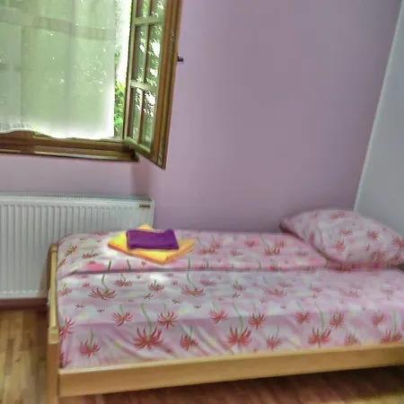 Restoran Lisine - Resavska Pecina