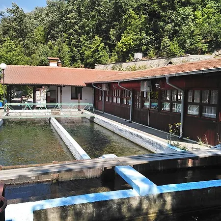 Restoran Lisine - Resavska Pecina بيت شباب