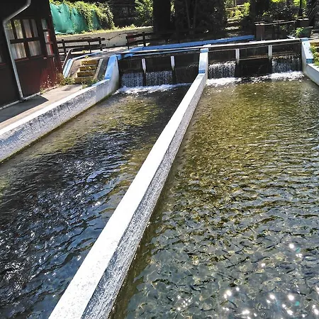 بيت شباب Restoran Lisine - Resavska Pecina