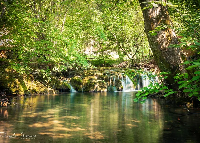 Restoran Lisine - Resavska Pecina Hostel *