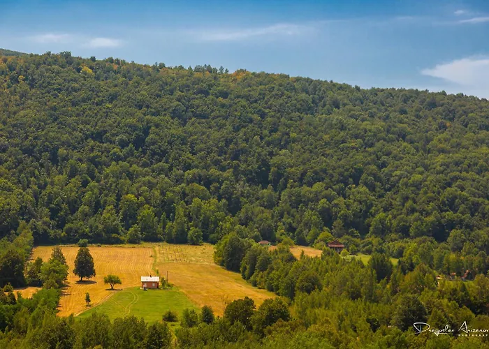 Restoran Lisine - Resavska Pecina
