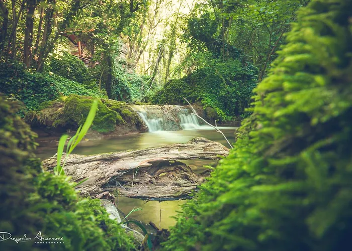 Hostel Restoran Lisine - Resavska Pecina Strmosten