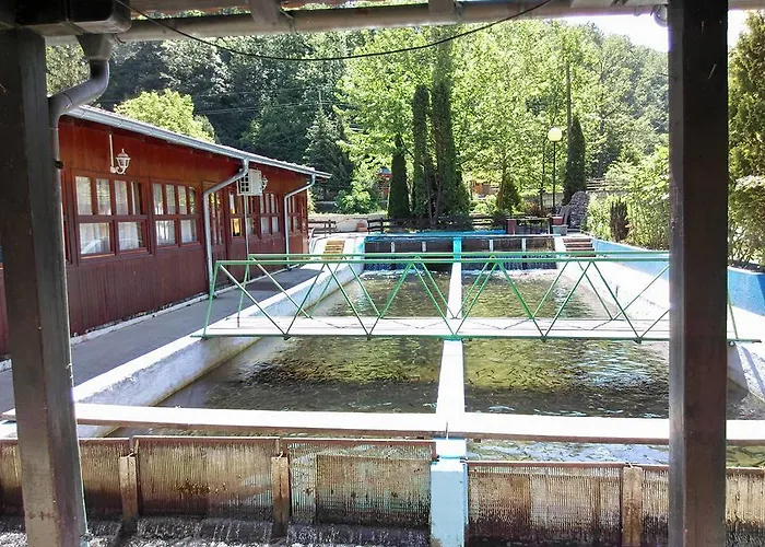 Restoran Lisine - Resavska Pecina *