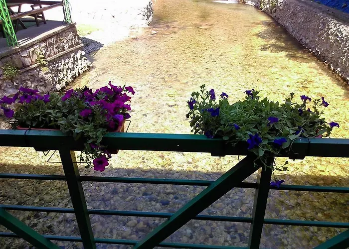 Restoran Lisine - Resavska Pecina * Strmosten