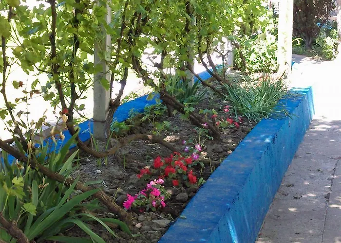 Restoran Lisine - Resavska Pecina Strmosten