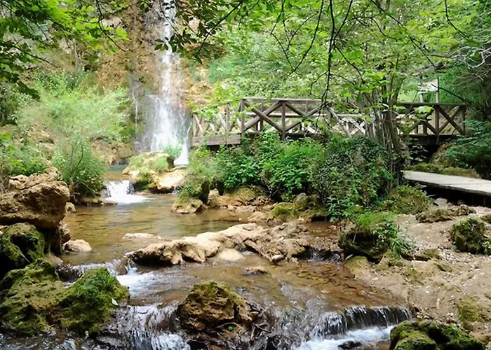 Restoran Lisine - Resavska Pecina Hostel