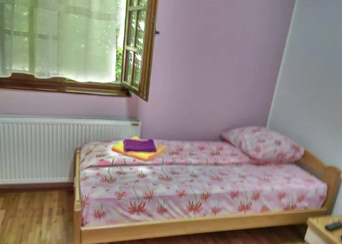 Restoran Lisine - Resavska Pecina