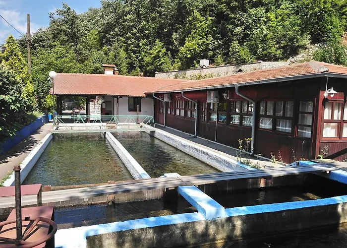 Restoran Lisine - Resavska Pecina Hostel