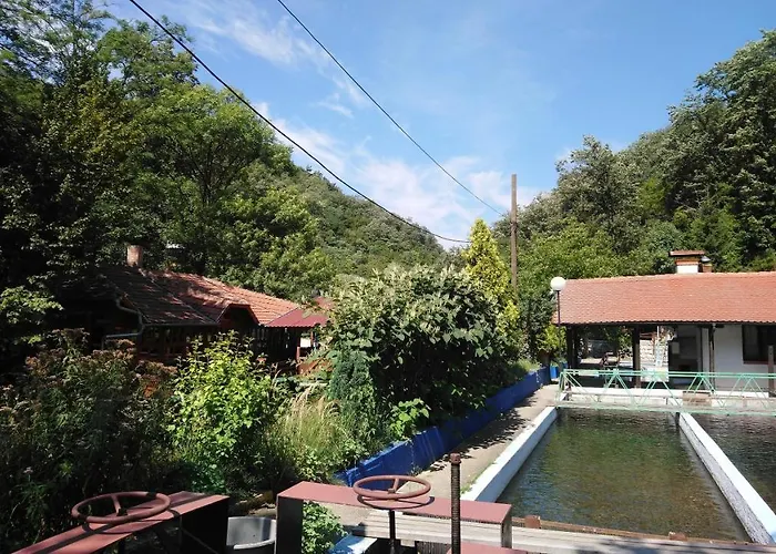 Restoran Lisine - Resavska Pecina Hostel Strmosten