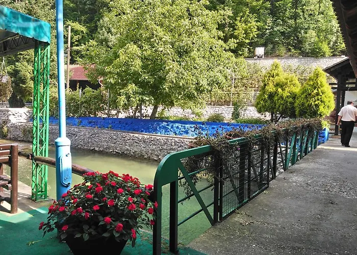 Restoran Lisine - Resavska Pecina Hostel Strmosten