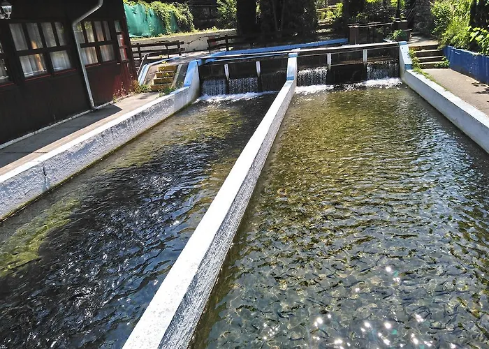 Hostel Restoran Lisine - Resavska Pecina